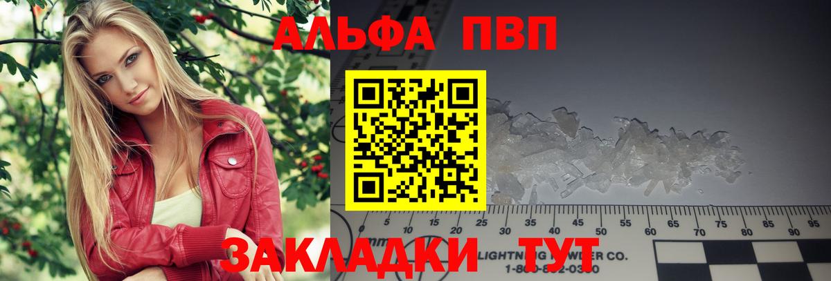 A PVP СК КРИС Печора